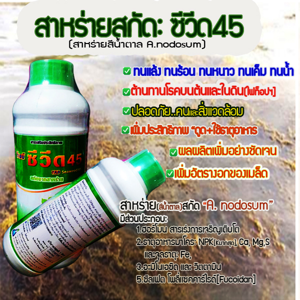 ซีวีด45[Seaweed45]:เป็นสารธรรมชาติสกัดจากสาหร่ายทะเลน้ำเย็น อุณภูมิต่ำกว่า 0 องศาเซลเซียส สายพันธุ์ "แอสโคไฟลัม โนคูชัม" นำเข้าจากไอร์แลนด์