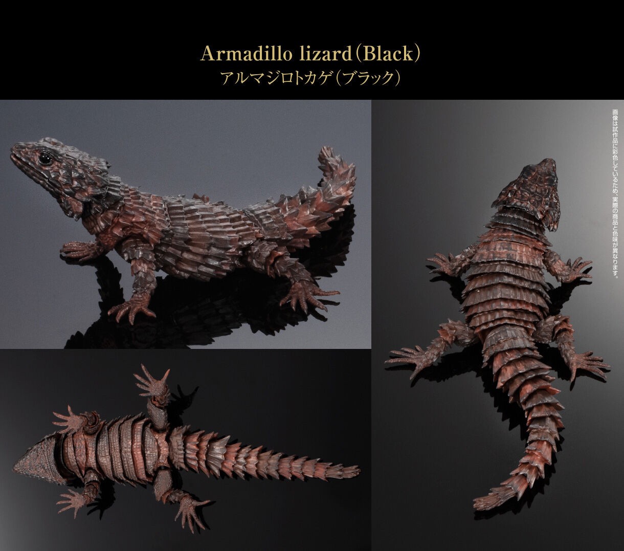 PRE-ORDER : Ikimono Encyclopedia Advance Armadillo Lizards (Random)