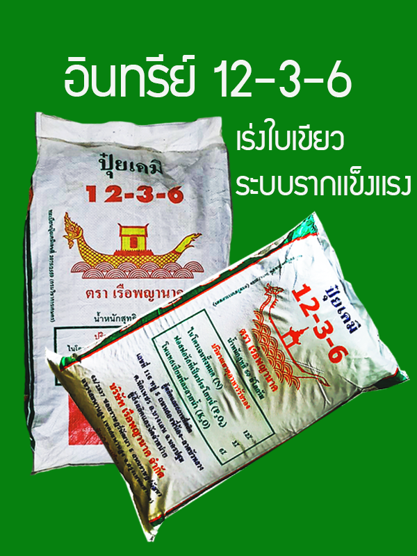 อินทรีย์12-3-6(25กก.):สูตรเพิ่มน้ำยาง บำรุงต้นแข็งเเรง ใบเขียวหนา รากแข็งเเรงดูดซึมธาตุอาหารเพิ่มขึ้น สังเคราะห์เเสงสะสมอาหารเร็ว ส่วนประกอบสำคัญ OM.10-15%, เเร่ธาตุอาหาร N12%-P3%-K6%, มูลค้างคาว อะมิโน-ฮิวมิก และไตรโครเดอมาร์ ควบคุมโรครากเน่าโคนเน่า