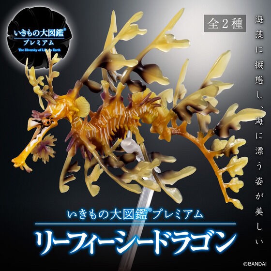 PRE-ORDER : Ikimono Encyclopedia Premium Leafy seadragon
