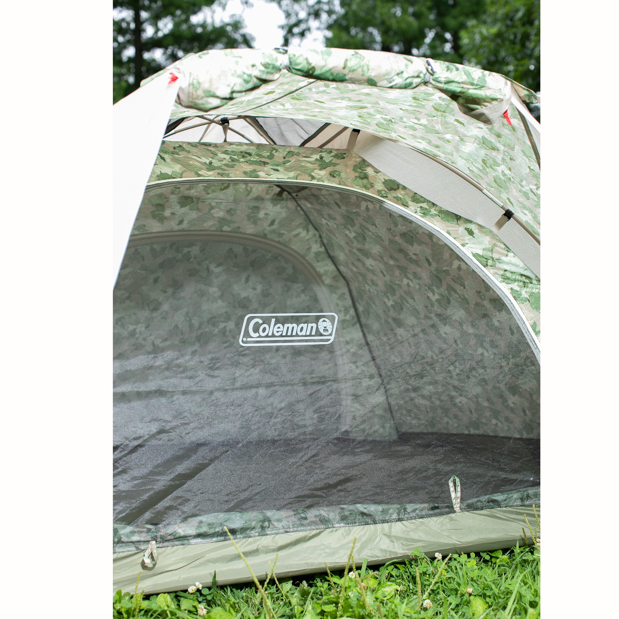 Coleman stomp touring dome/lx