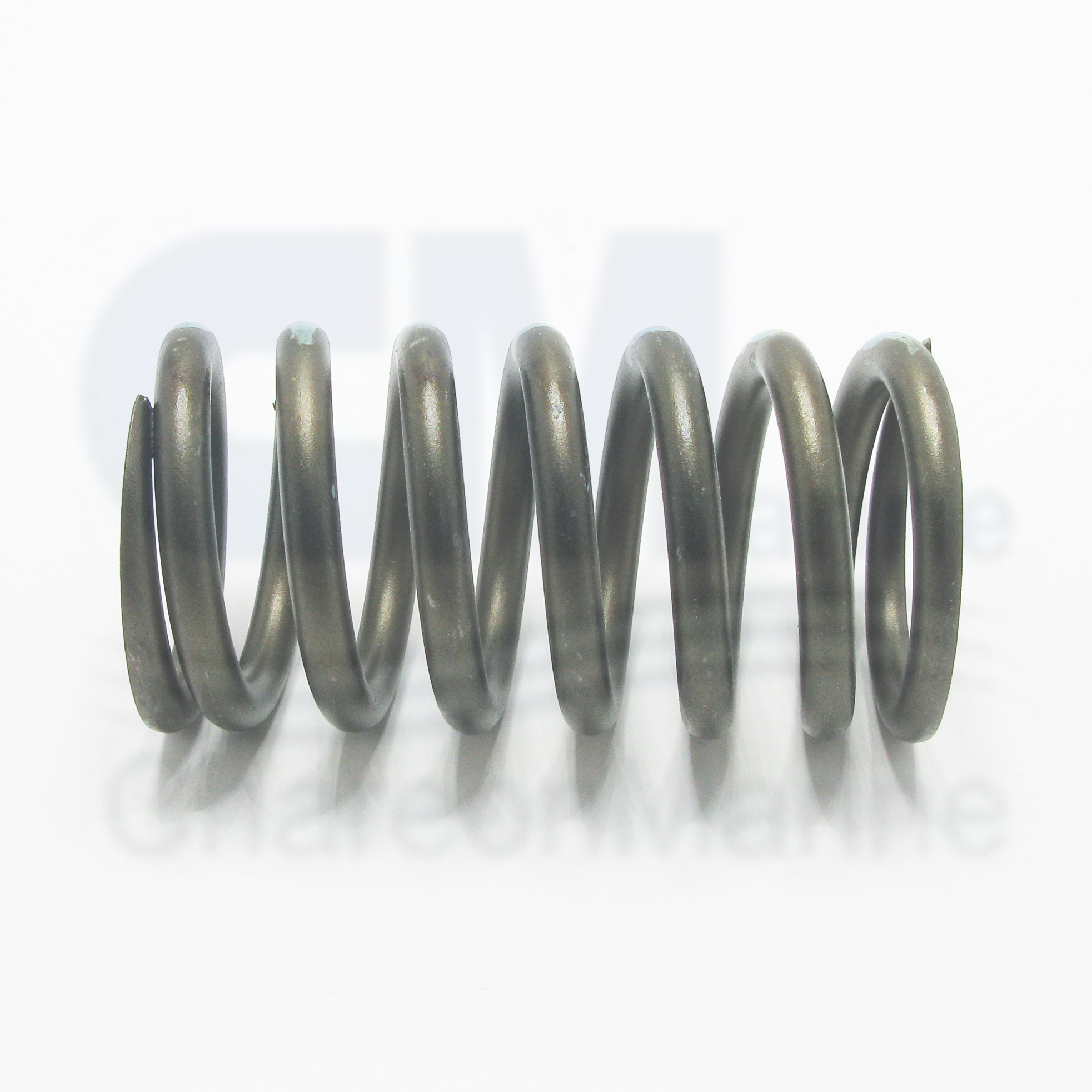 3629006 SPRING,VALVE