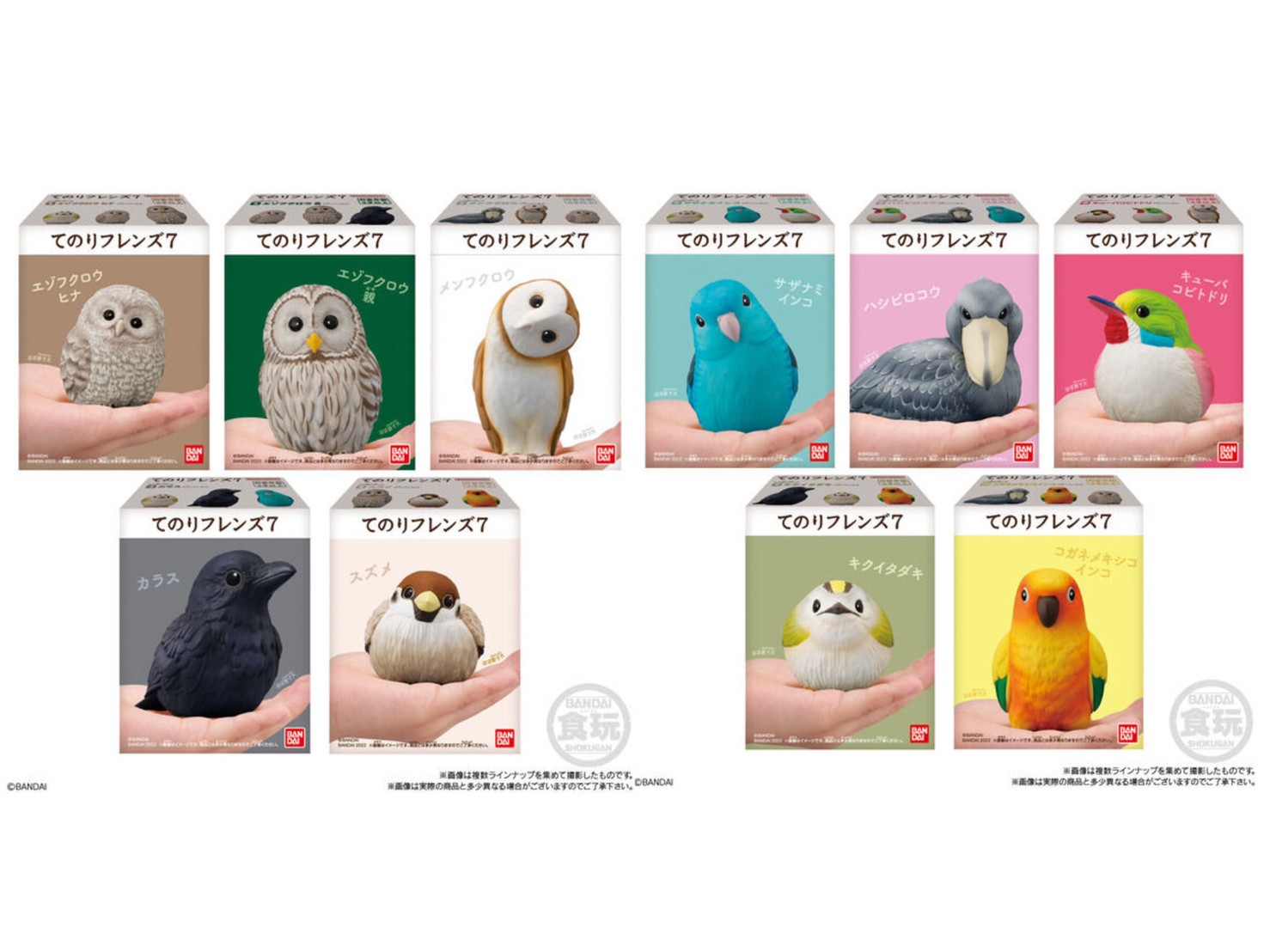 PRE-ORDER : Tenori Friends 7 (12 pcs)