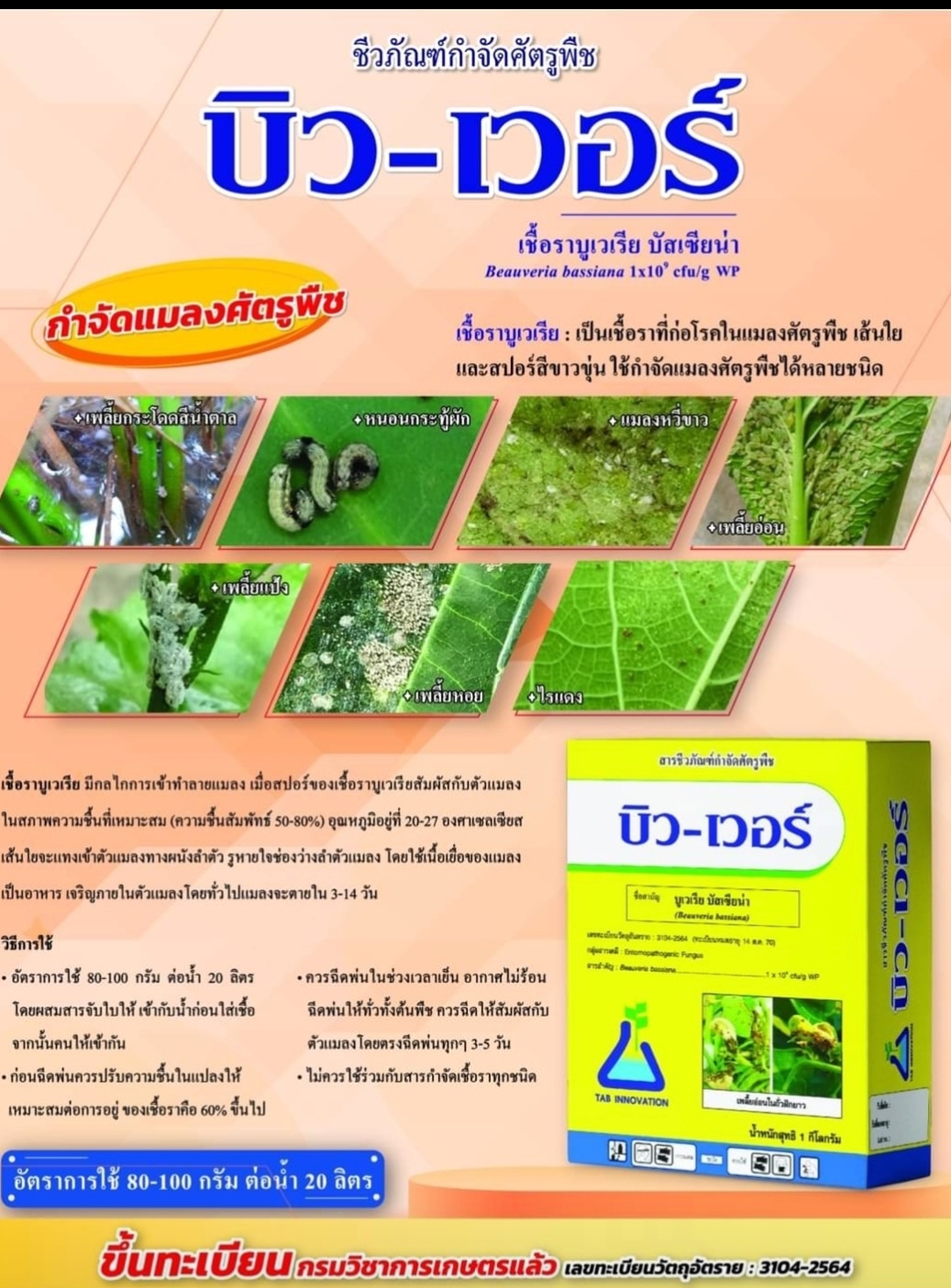 ชีวภัณฑ์แบคทีเรีย(บิว-เวอร์) ป้องกันกำจัดแมลง หนอน เพลี้ย ไรแดง แมลงร้ายต่างๆดื้อยา เลือกบิว-เวอร์ เอาอยู่ครับ ปลอดภัยต่อใช้ ไม่มีสารตกค้าง