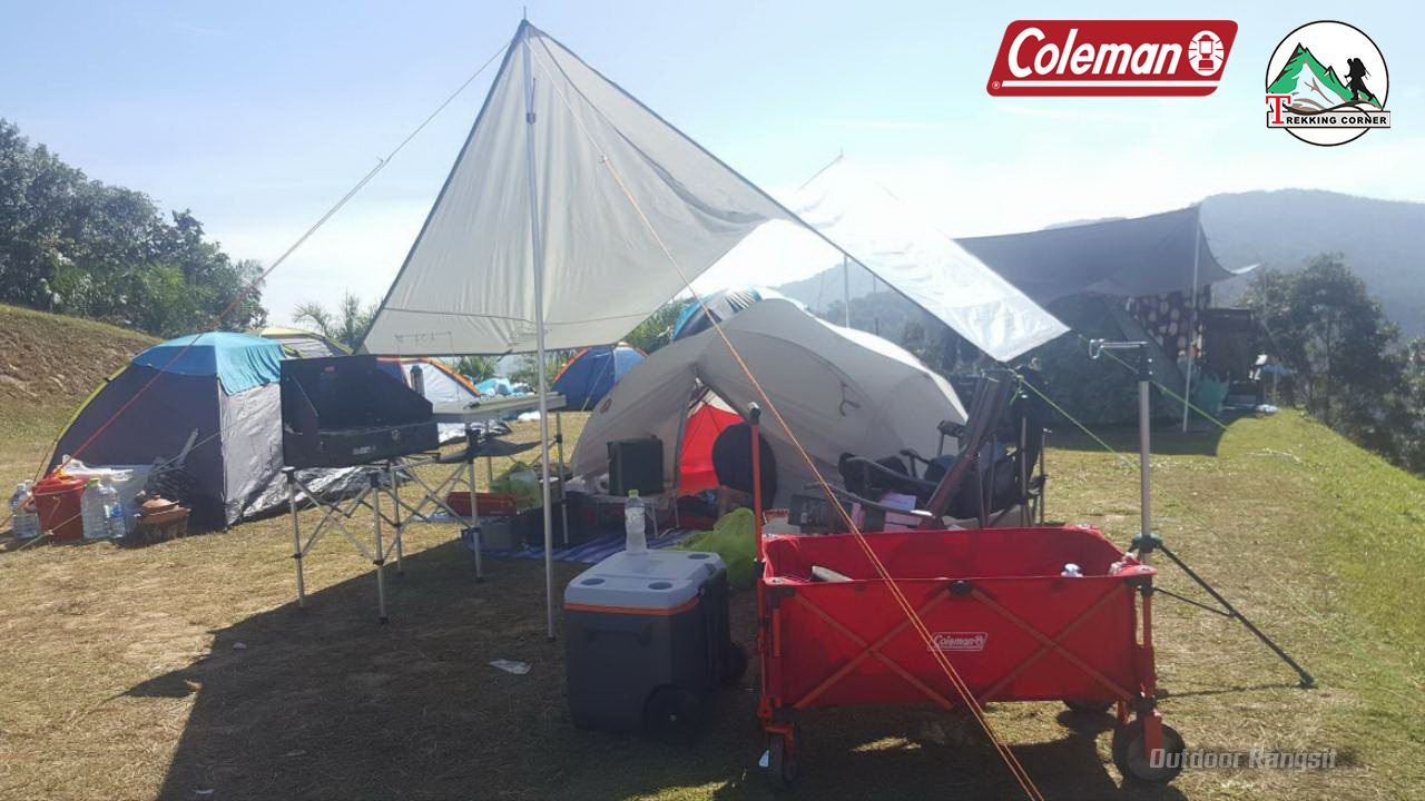 Coleman Pole Shade Large 12*14