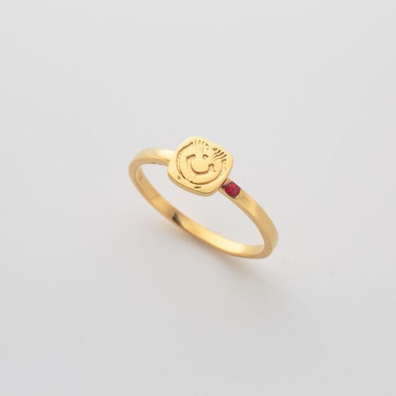 PRE-ORDER : Kamen Rider Revice Ring Set