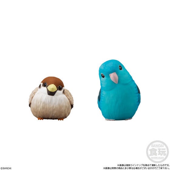 PRE-ORDER : Tenori Friends 7 (12 pcs)