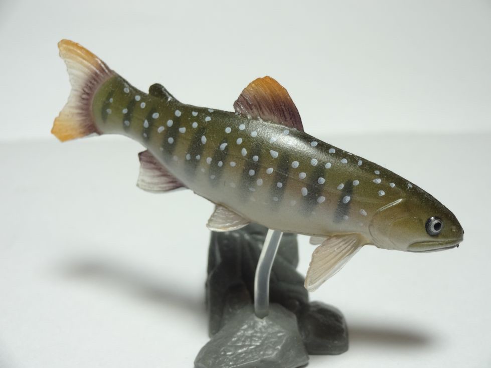กาชาปอง Freshwater Fish Collection vol. 1 Gashapon (Set of 13) by Yujin