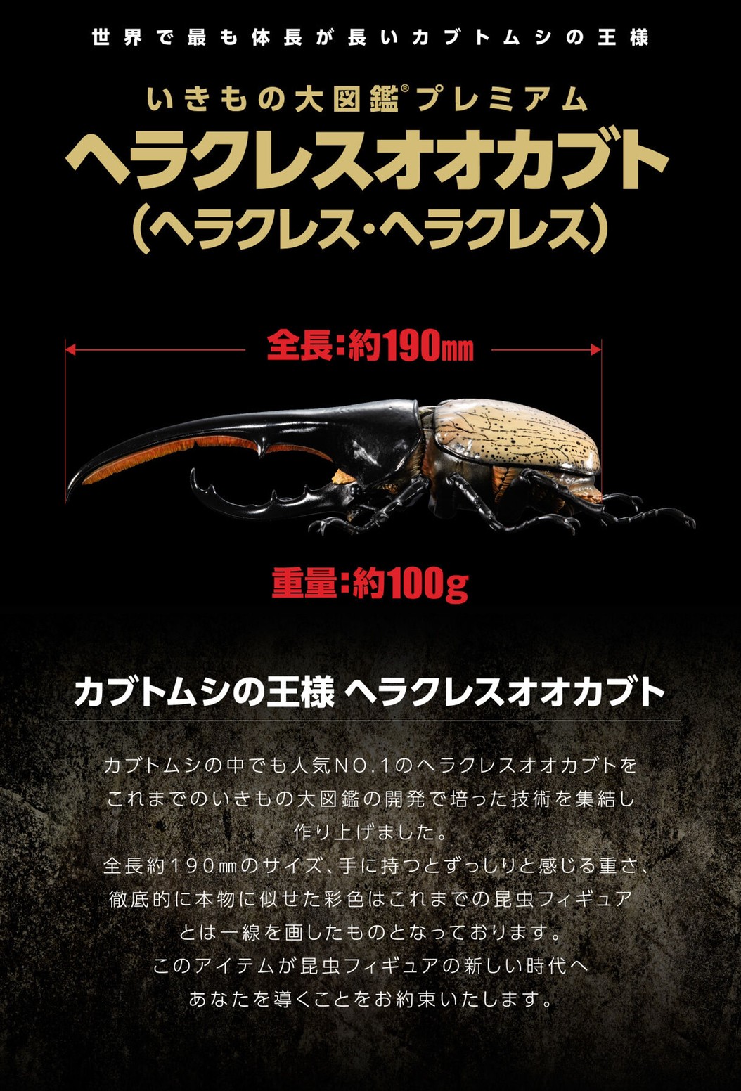 PRE-ORDER : Ikimono Encyclopedia Premium Hercules Beetle (Dynastes hercules)