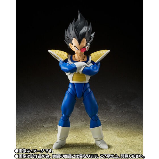 PRE-ORDER : S.H.Figuarts Vegeta -24000 POWER LEVEL-