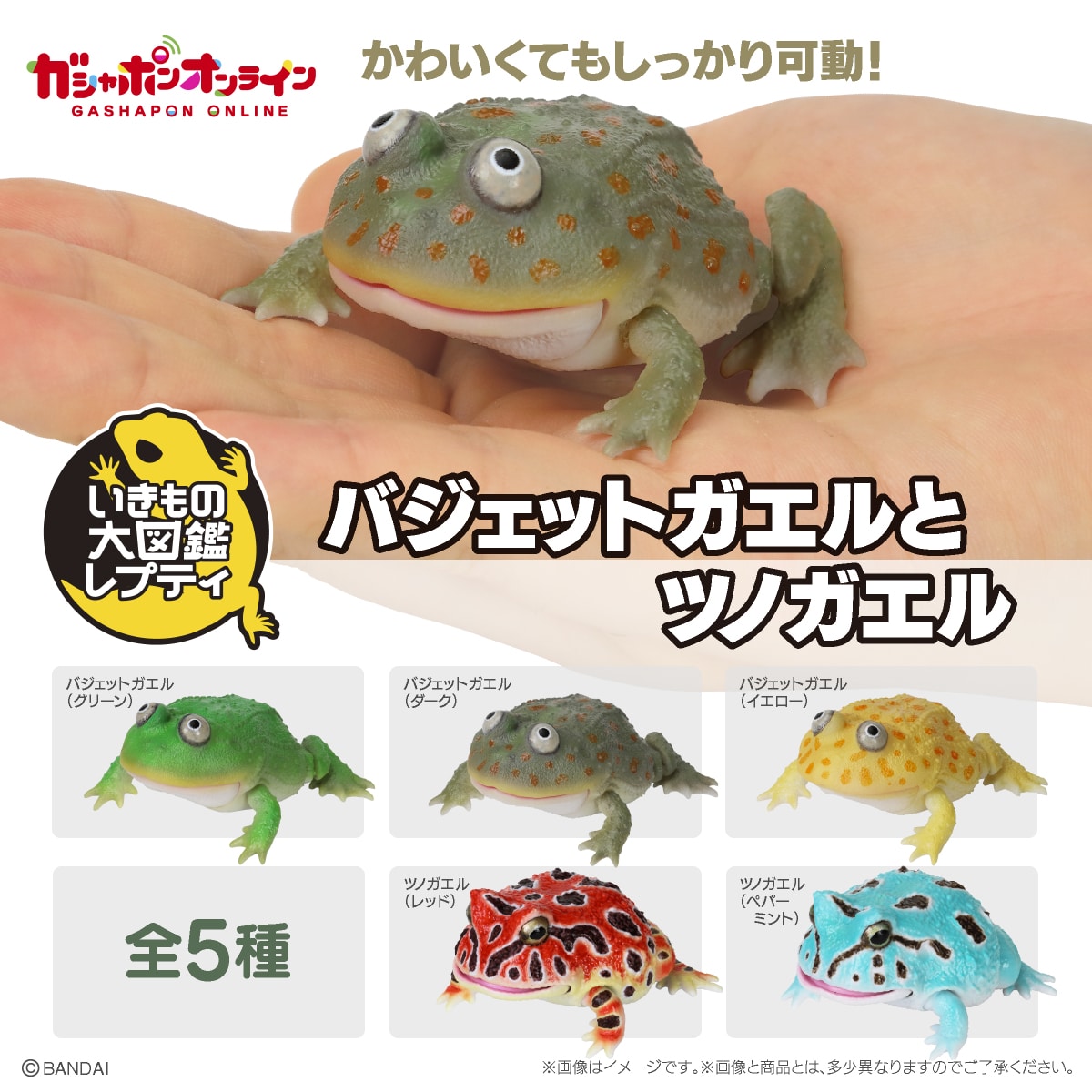 $ Ikimono Encyclopedia Reptile Budgett's Frog & Horned Frog