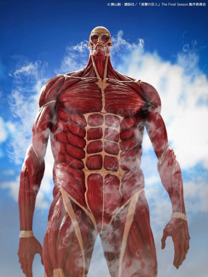 Pre-order : Mega Sofvi Attack on Titan Colossal Titan by Kaiyodo