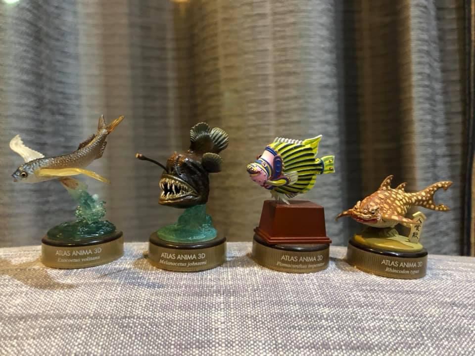 งานฝา สัตว์น้ำ New Enoshima Aquarium World Museum ATLAS ANIMA 3D Bottle Cap Collection (Set of 8) by Kaiyodo