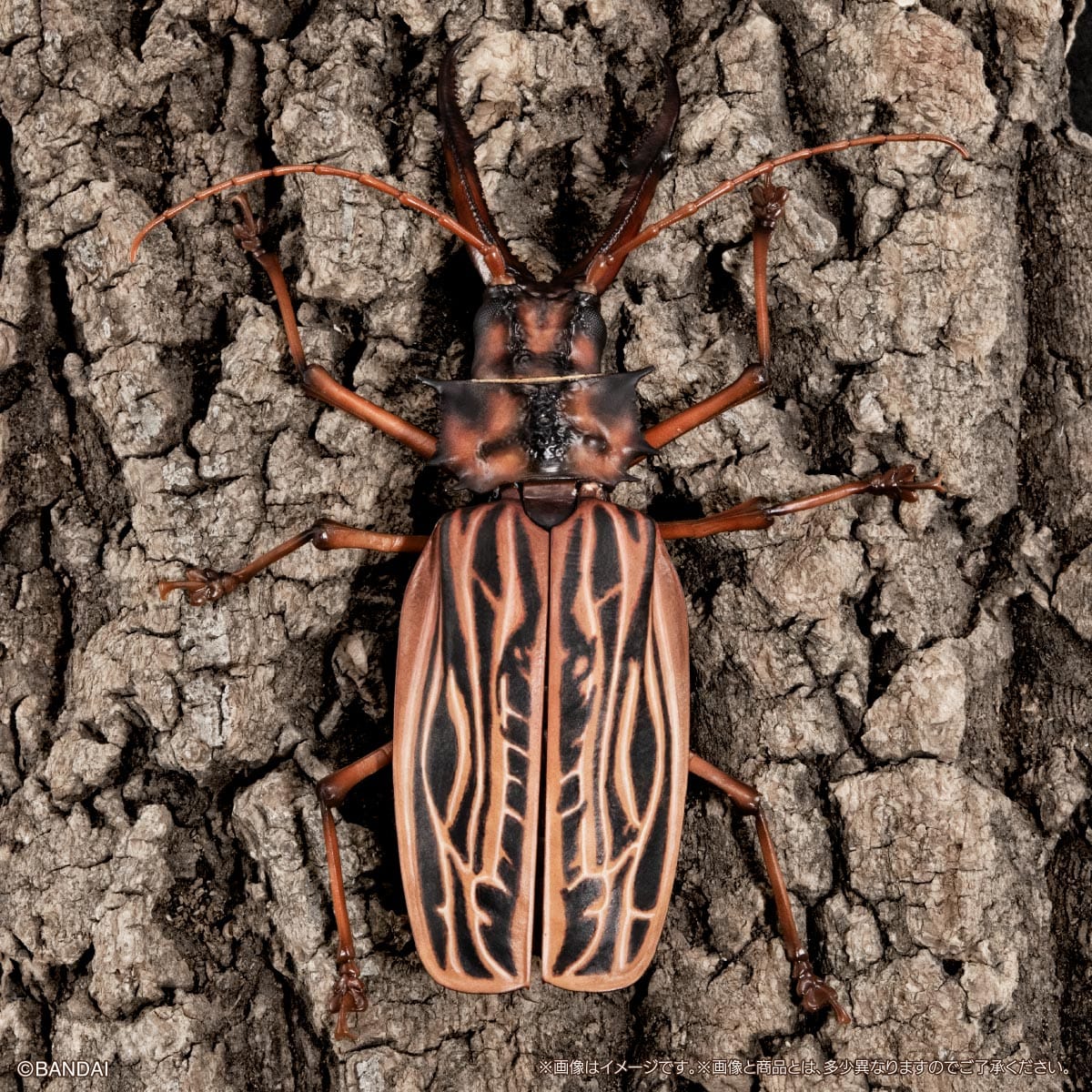 $ Ikimono Encyclopedia Advance Sabertooth Longhorn Beetle & Tiger Beetle