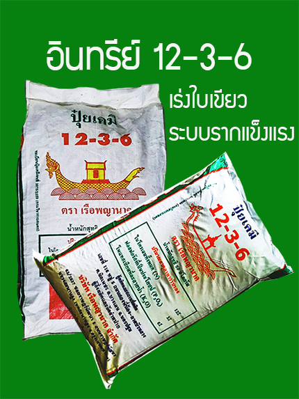 อินทรีย์12-3-6(25กก.):สูตรเพิ่มน้ำยาง บำรุงต้นแข็งเเรง ใบเขียวหนา รากแข็งเเรงดูดซึมธาตุอาหารเพิ่มขึ้น สังเคราะห์เเสงสะสมอาหารเร็ว ส่วนประกอบสำคัญ OM.10-15%, เเร่ธาตุอาหาร N12%-P3%-K6%, มูลค้างคาว อะมิโน-ฮิวมิก และไตรโครเดอมาร์ ควบคุมโรครากเน่าโคนเน่า