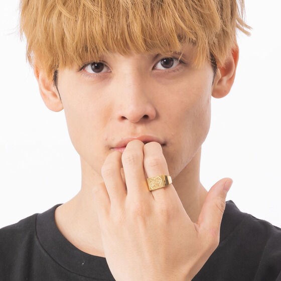 PRE-ORDER : Kamen Rider Silver925 Seal Ring