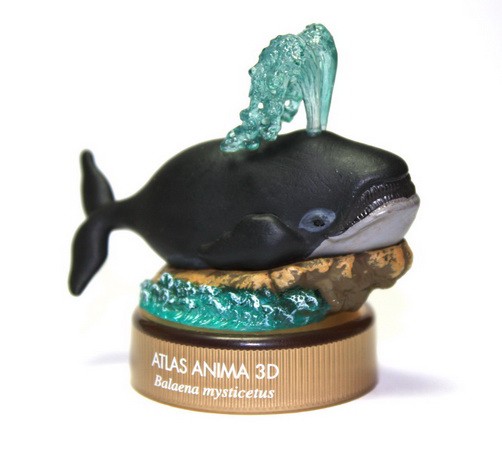 งานฝา สัตว์น้ำ New Enoshima Aquarium World Museum ATLAS ANIMA 3D Bottle Cap Collection (Set of 8) by Kaiyodo