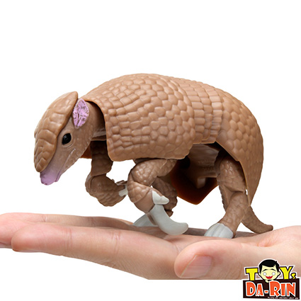 $ Ikimono Encyclopedia Dango Mushi 08 Dango Mushi & Armadillo