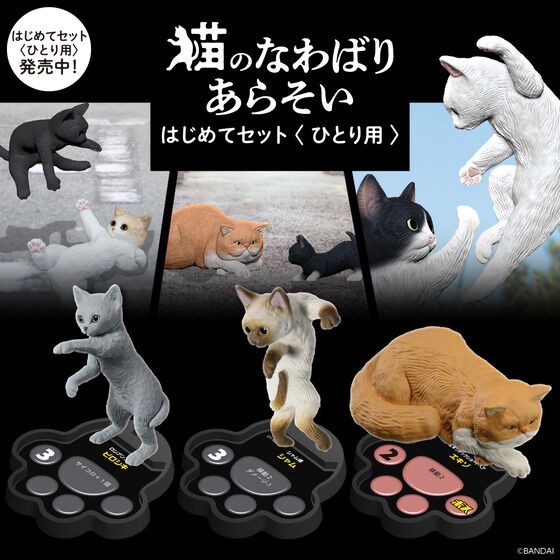PRE-ORDER : Cat's Territory Battle First Set <For One Person>