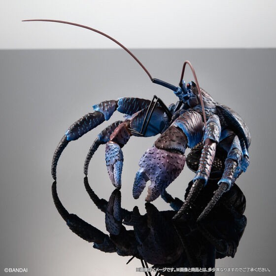 PRE-ORDER : Ikimono Encyclopedia Premium Coconut Crab
