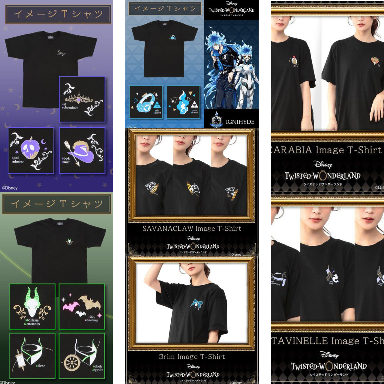 PRE-ORDER : Disney Twisted Wonderland Image T-shirt