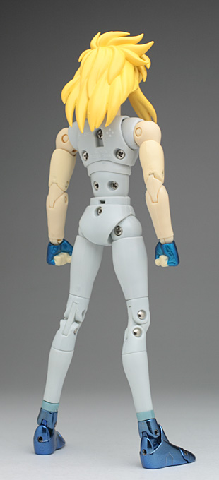 Saint Seiya -Tamashii Nation 2010 : Cygnus Hyoga ( Final Bronze Cloth ) ~ ORIGINAL COLOR EDITION ~