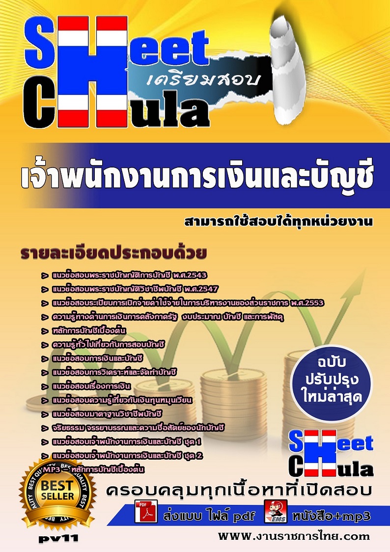pv11 เจ้าพนักงานการเงินและบัญชี