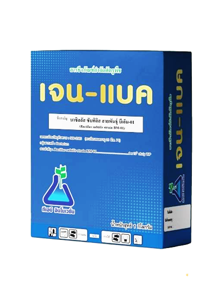 เจน-แบค(500 กรัม):แบคทีเรียเชื้อพิฆาตินักทำลายเขี้อสาเหตุโรคพืช ออกฤทธิ์กำจัดเชื้อโรคที่แผลได้ทันทีไม่เเพ้การสารเคมีแต่ปลอดภัยต่อชิวิตท่านเเละผู้บริโภค หรือจะใช้เชิงป้องกันไม่ให้เชื้อโรคร้ายระบาดล่วงหน้าไม่ว่าเชือร้ายจะมาทางดินเเละน้ำ(ราก) หรือจะมาทางอากา