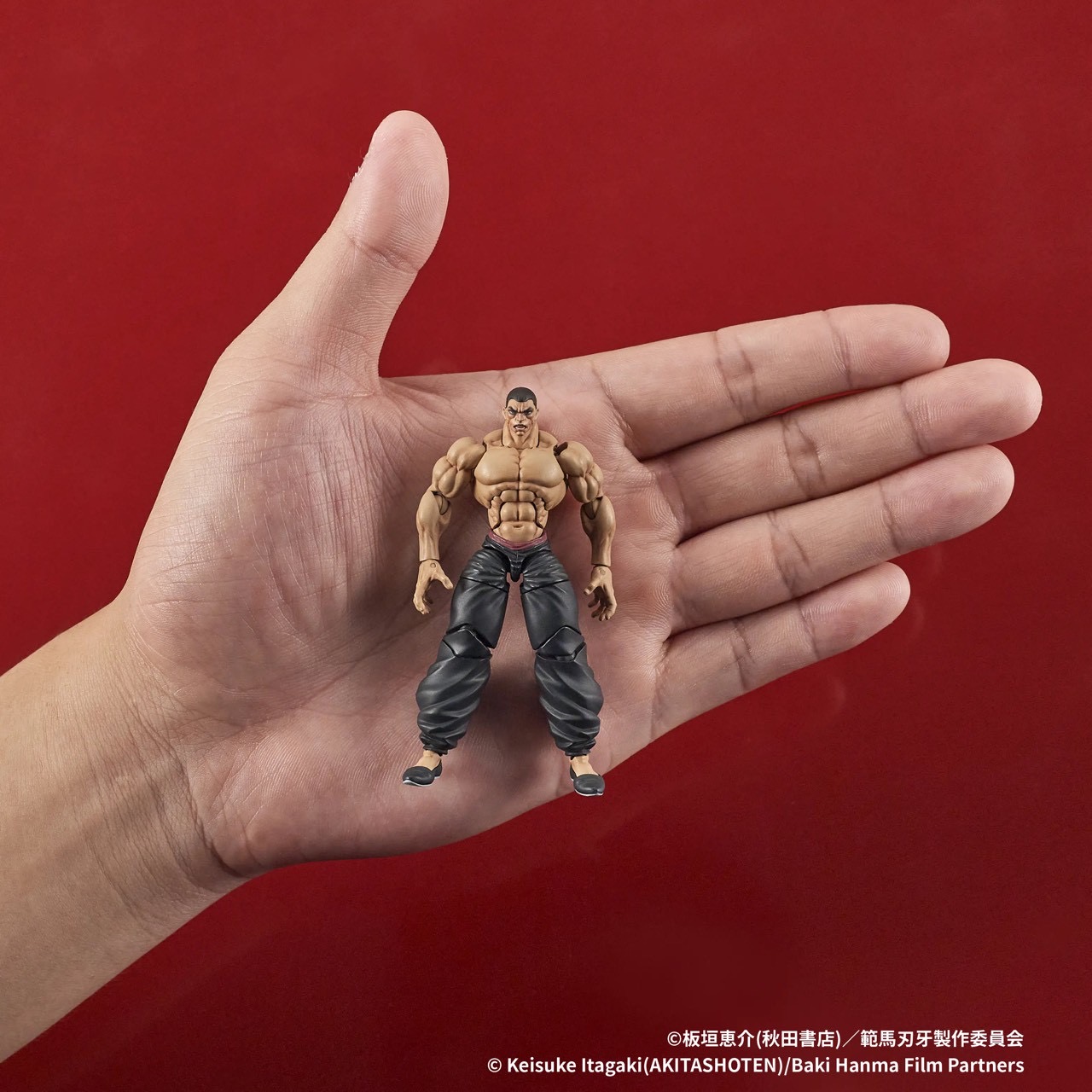 Pre-order : 1/24 DIGACTION Son of Ogre Baki Hanma: Yujiro Hanma / Kaioh Retsu by DIG