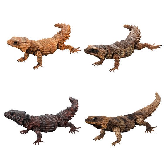 PRE-ORDER : Ikimono Encyclopedia Advance Armadillo Lizards (Random)