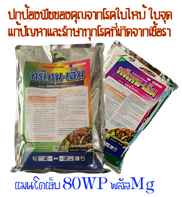 ทรีเทน-เอ็ม(1กก.) ป้องกันรักษาพืชของท่านให้รอดปลอดภัยจากการเข้าทำลายของโรคพืชได้ชงัด โรคใบไหม้ ใบจุดทุกชนิด แอนเเทรคโนสที่ถูกทำลายที่ใบ ผล เม็ดผัก ทรีเทนเอ็มยังเพิ่มความเขียวให้กับใบเพิ่มความเเข็งเเรงด้วยMg 4% สร้างภูมิต้านทานโรคเพิ่มขึ้น