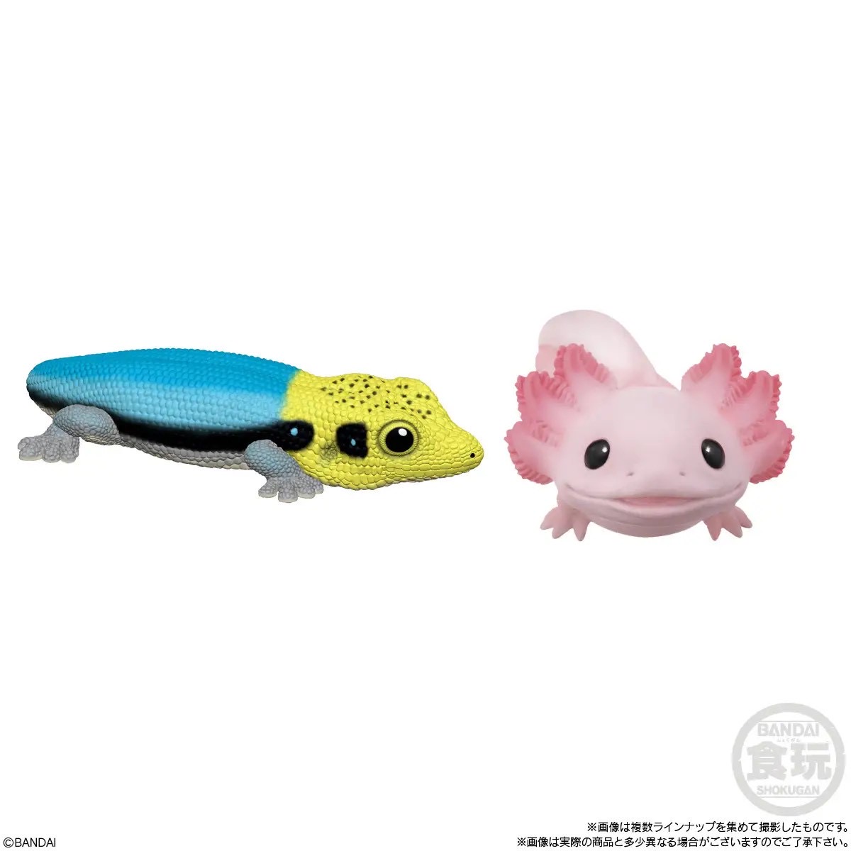 Tenori Friends 8 Reptiles & Amphibians