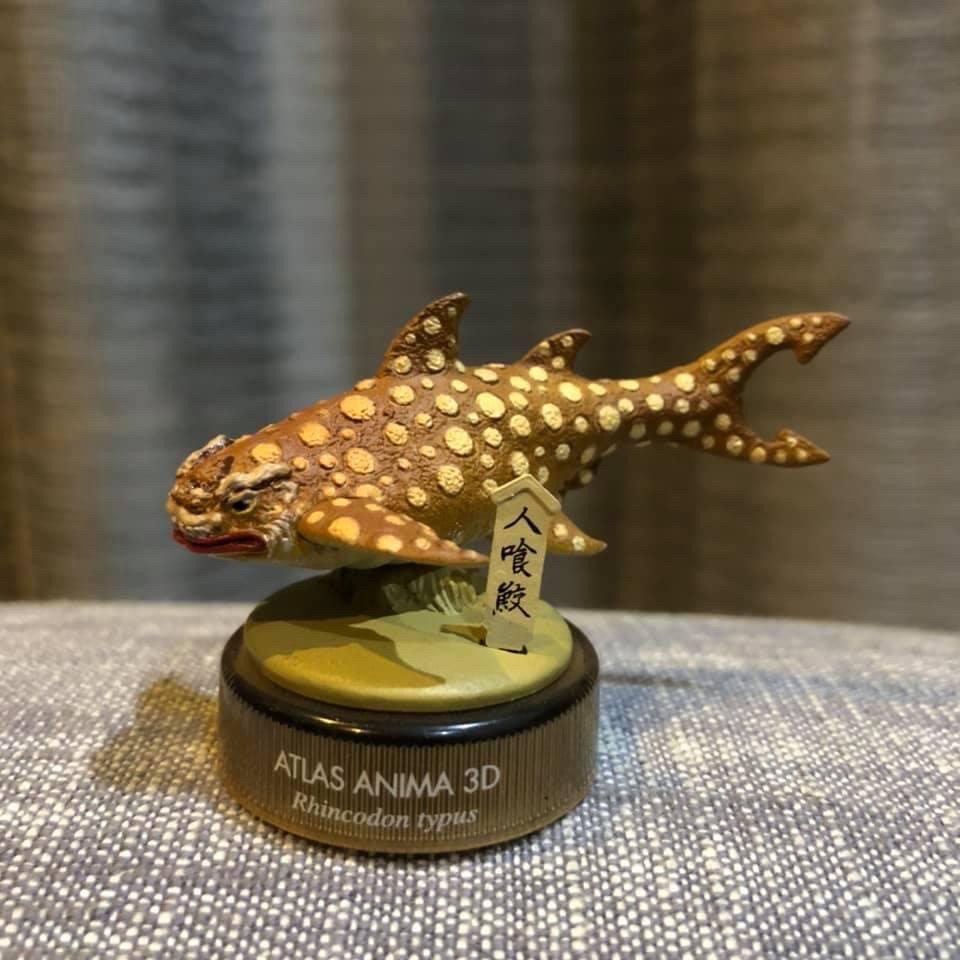 งานฝา สัตว์น้ำ New Enoshima Aquarium World Museum ATLAS ANIMA 3D Bottle Cap Collection (Set of 8) by Kaiyodo