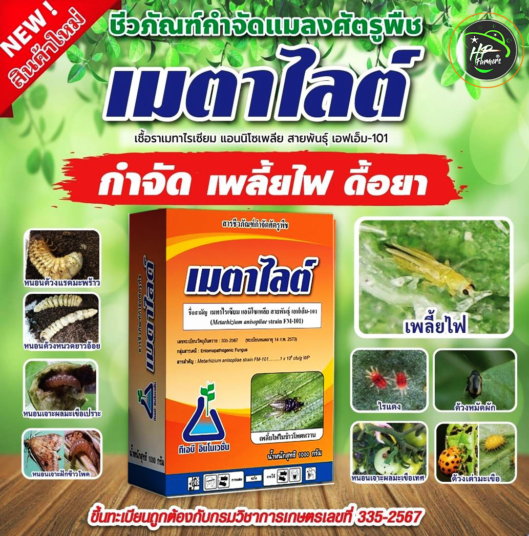 เมตาไลท์[Metarhizium sp, 600g.]: ชีวภัณฑปกป้องพืชและผลิตผลของฟาร์มคุณให้รอดพ้นจากศัตรูพืช หนอน เพลี้ยไฟ ไรเเดงด้วงเเรดมะพร้าว ด้วงหมัดผัก ด้วงอ้อย ด้วงมะพร้าว ปาล์ม อิทผาลัม ด้วงหนวดยาวอ้อย ด้วงเต่ามะเขือ เเมงอีนูน ด้วงงวงน้ำเงิน ฯลฯ ด้วยชีวภัณฑ์ราเขียวเช