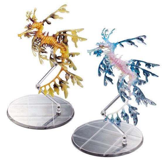 PRE-ORDER : Ikimono Encyclopedia Premium Leafy seadragon