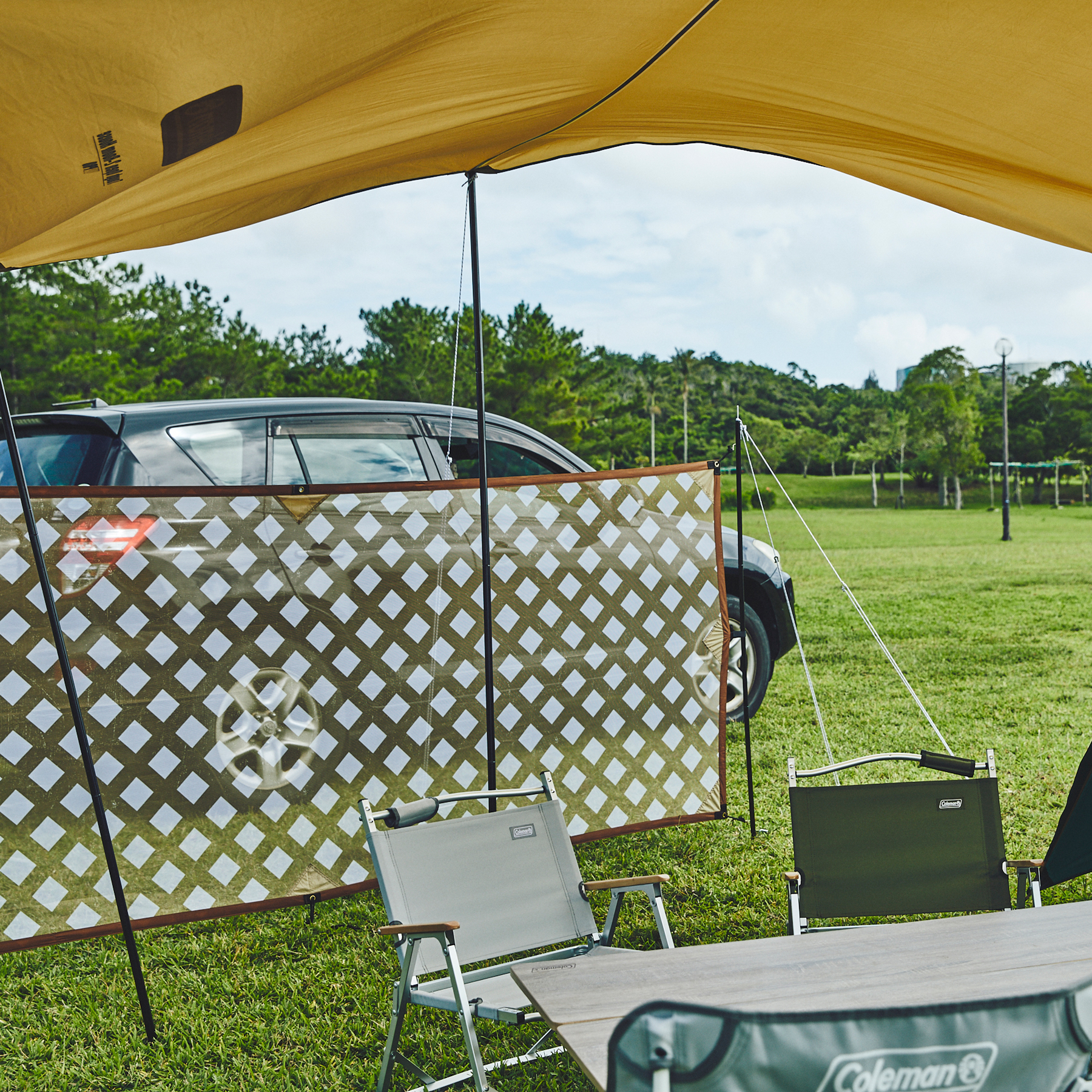 Coleman Screen Mesh Wall