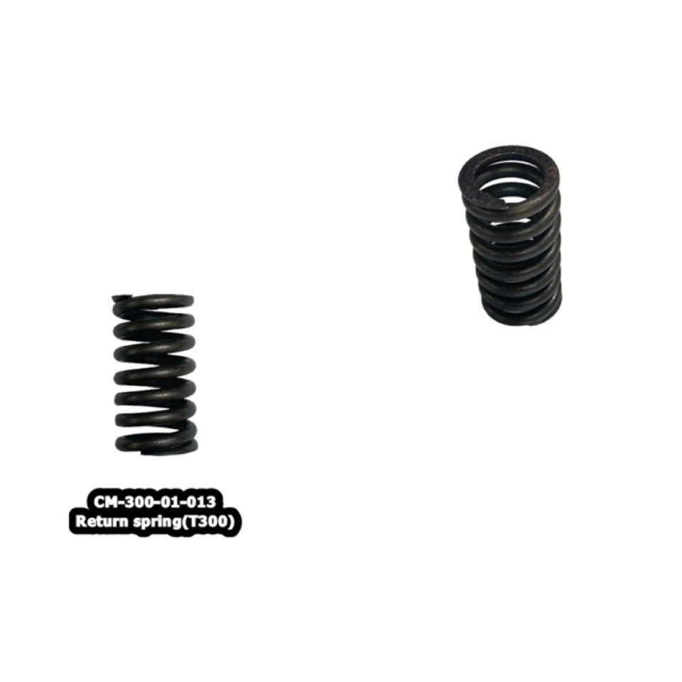 300-01-013 Return spring(T300)