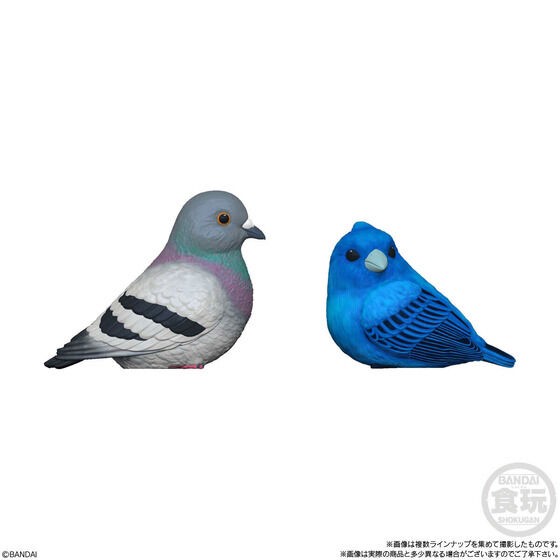 PRE-ORDER : Tenori Friends 10 (12 pcs)