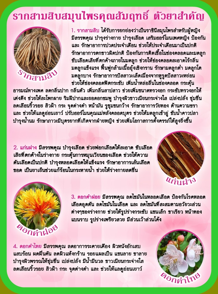 สมุนไพรคุณสัมฤทธิ์