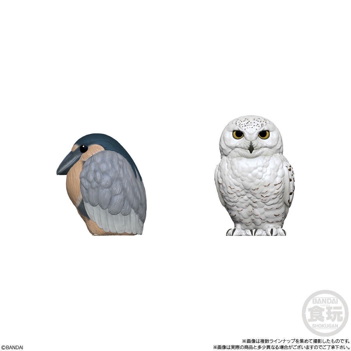 โมเดลนก Tenori Friends 10 by Bandai