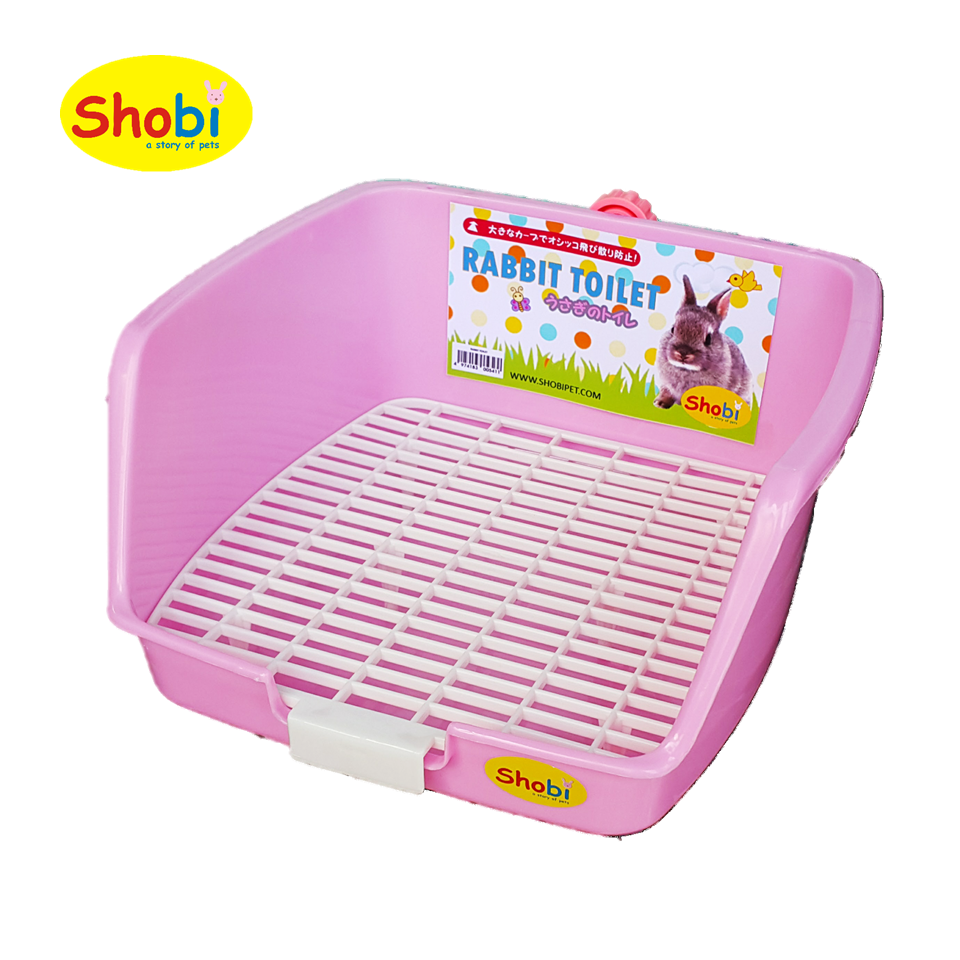 ห้องน้ำกระต่าย แกสบี้