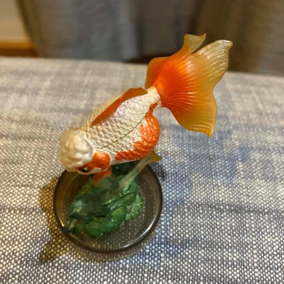 งานฝา สัตว์น้ำ New Enoshima Aquarium World Museum ATLAS ANIMA 3D Bottle Cap Collection (Set of 8) by Kaiyodo