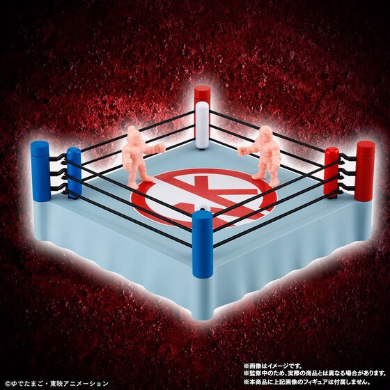 PRE-ORDER : Kinkeshi Official Ring Five Rings of Death Set (Bonus Included)