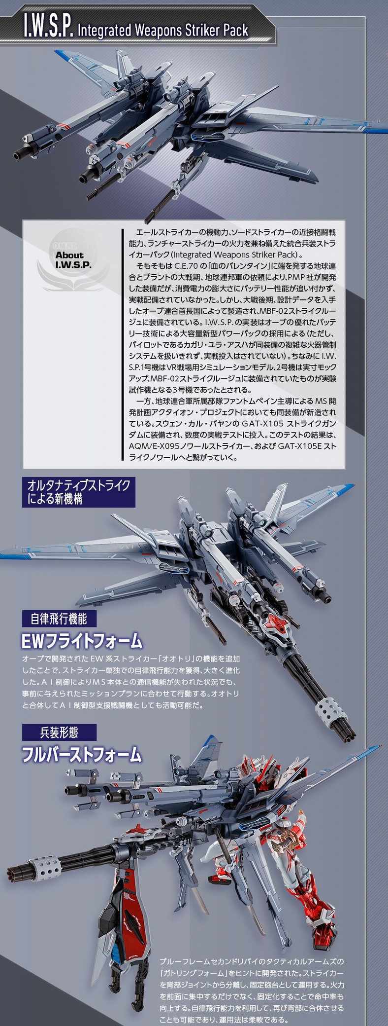 PRE-ORDER : METAL BUILD I.W.S.P.