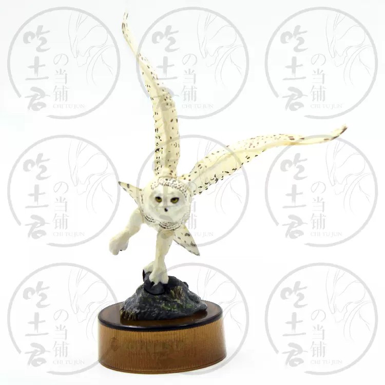 งานฝา กาชาปอง Yokohama Zoo Zoorasia Lunch Jungle Cracker Bottle Cap Trading Figure Collection by Kaiyodo (Set of 9)