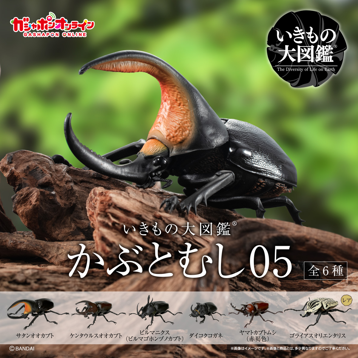 $ Ikimono Encyclopedia Beetle 05