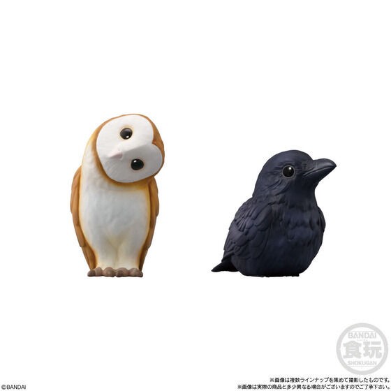 PRE-ORDER : Tenori Friends 7 (12 pcs)