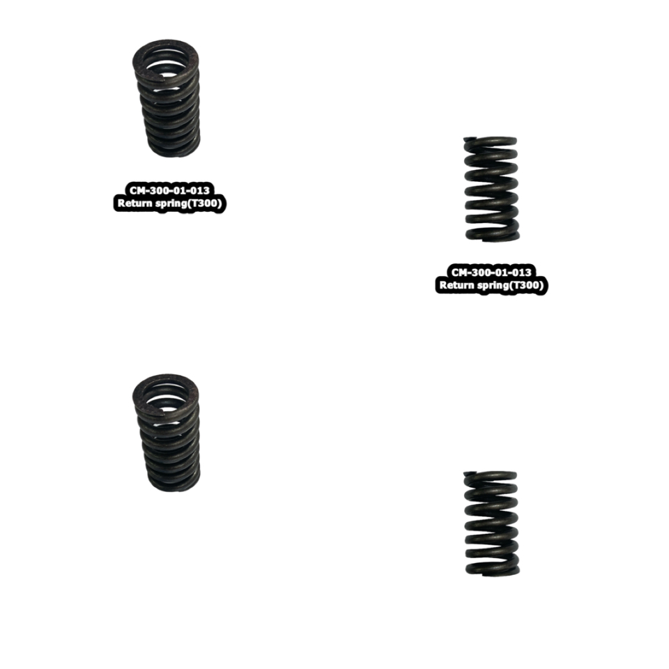 300-01-013 Return spring(T300)