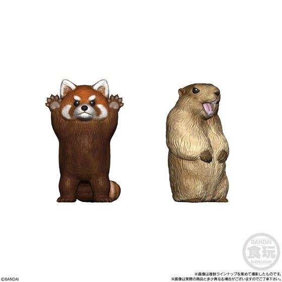 PRE-ORDER : Tenori Friends 9 (12 pcs)