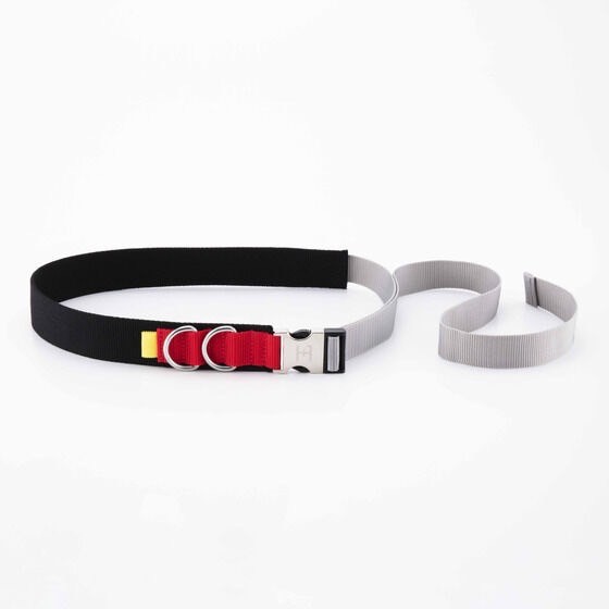 PRE-ORDER : HENSHIN Belt Kamen Rider Faiz | HENSHIN by KAMEN RIDER